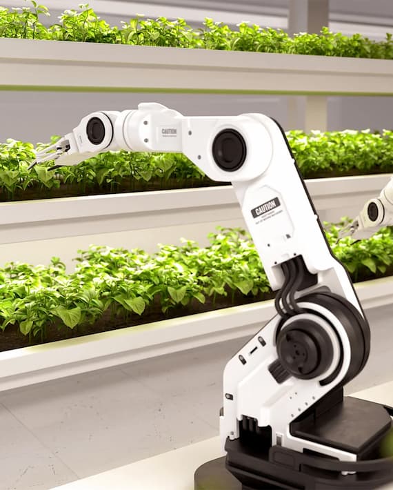 Agrotech & FoodTech